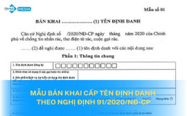 Hướng dẫn điền Bản khai cấp tên định danh theo Nghị định 91/2020/NĐ-CP